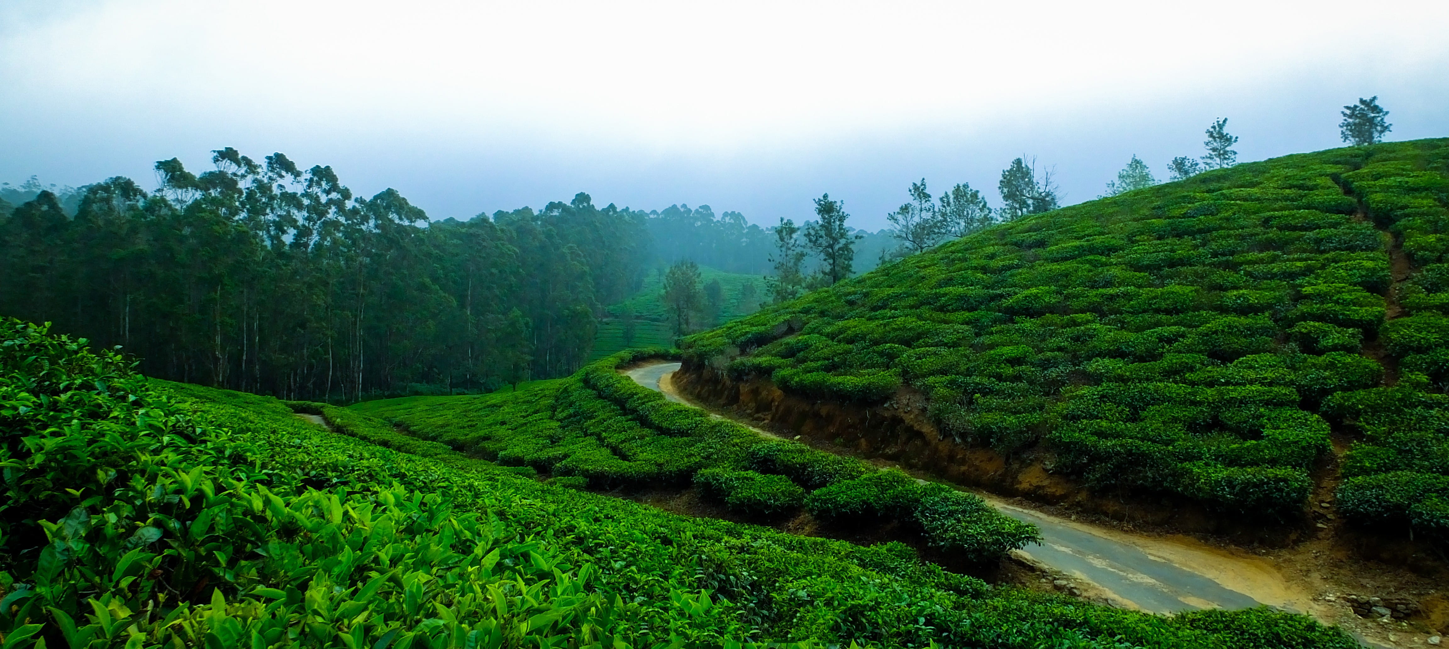 Karma Vythiri, Wayanad Banner